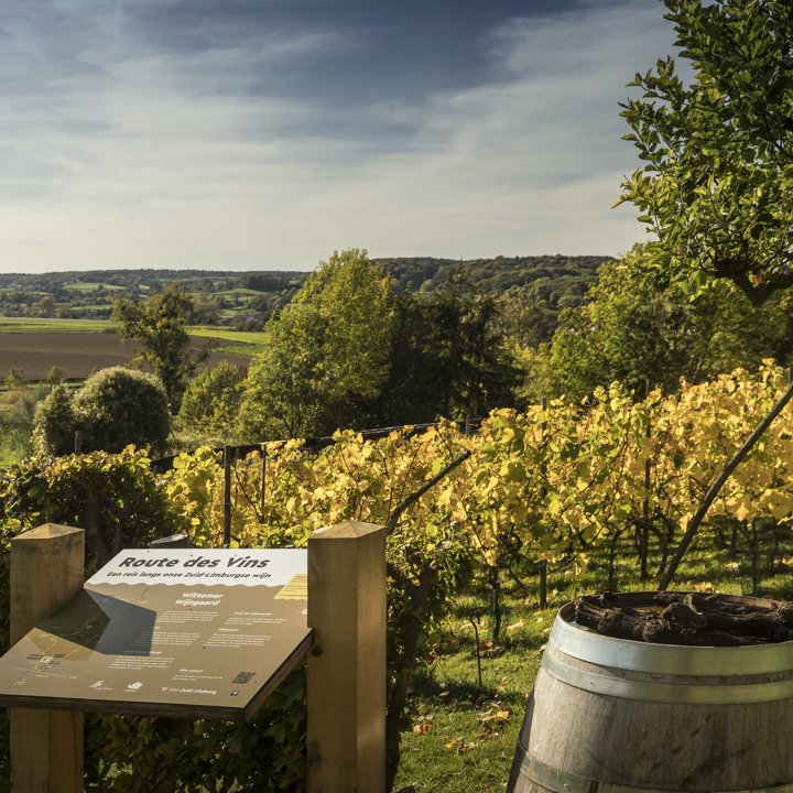 Infobord van Route des Vins naast wijnvat in wijngaard met uitzicht over Heuvellandschap