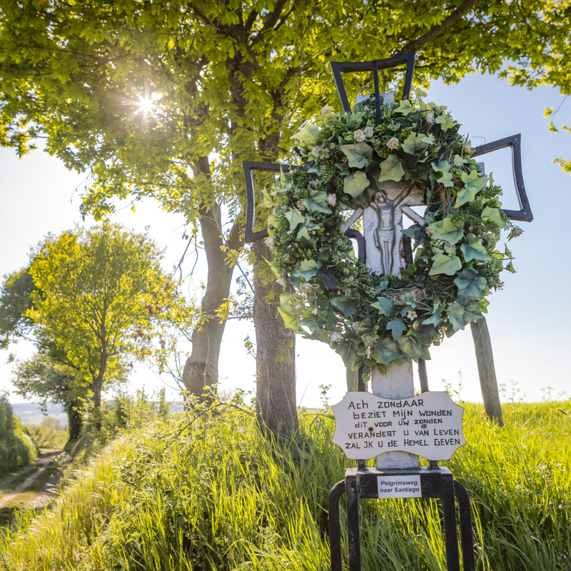 Jacobspad in zonnige omgeving met wegkruis