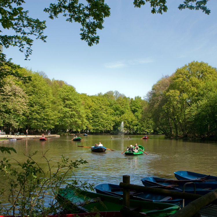 Roeien in gekleurde bootjes op de roeivijver in Steinerbos