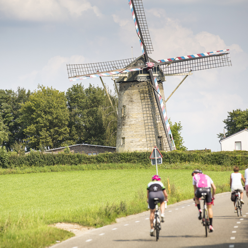 Wielrenners en gewone fietsers fietsen langs de Van Tienhovenmolen 