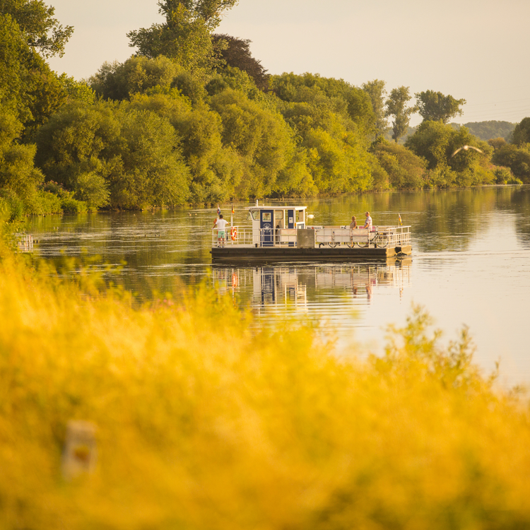 Foto met oranje gloed op de voorgrond, de veerpond op het water en groene bomen op de achtergrond. 